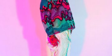 Chris Brown Under The Influence