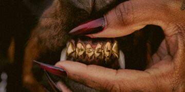 Leon Thomas' "MUTT Deluxe: HEEL" album cover.